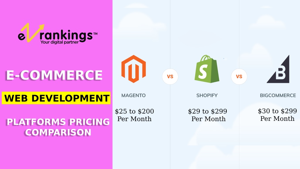 pricing of a platform for an e-commerce website pricing of a platform for an e-commerce website