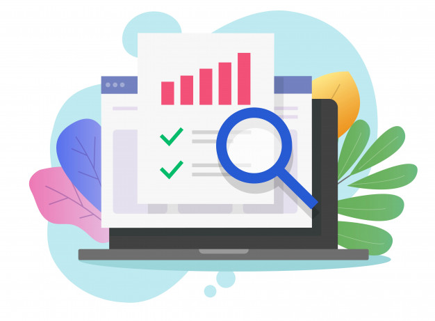 SEO Audit Cost